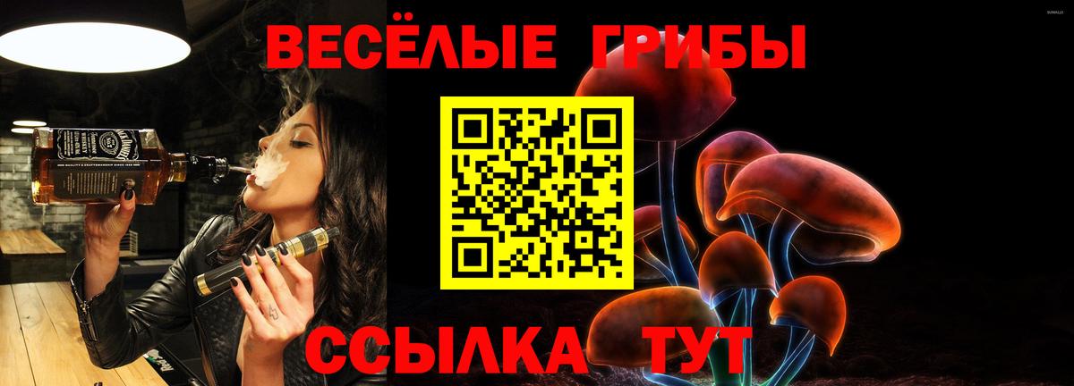 Нижнекамск  Псилоцибиновые грибы GOLDEN TEACHER  Вход с VPN 
